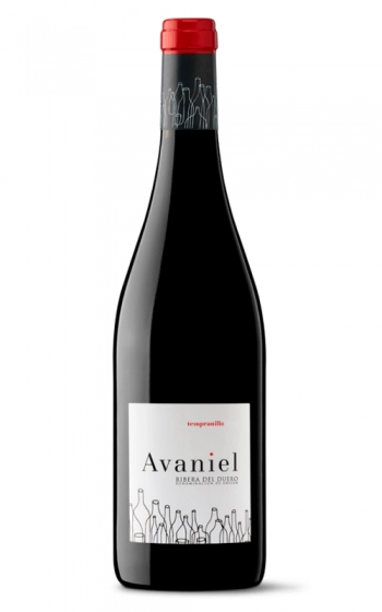 AVANIEL TINTO